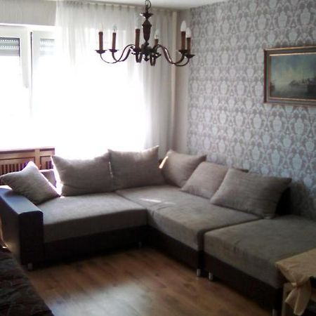 צל אן דר מוזל Mosel Ferienwohnung מראה חיצוני תמונה